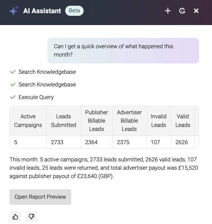 Screnshot showing reporting assistant returning a short summary
