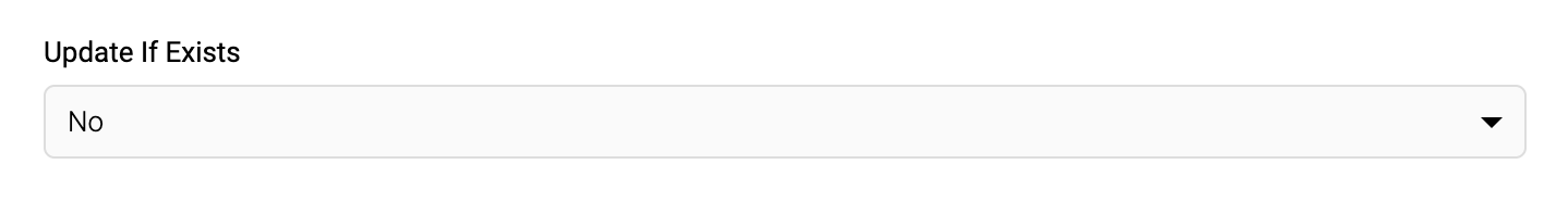 Screenshot of Update If Exists set to No