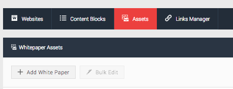 selection of the Assets tab