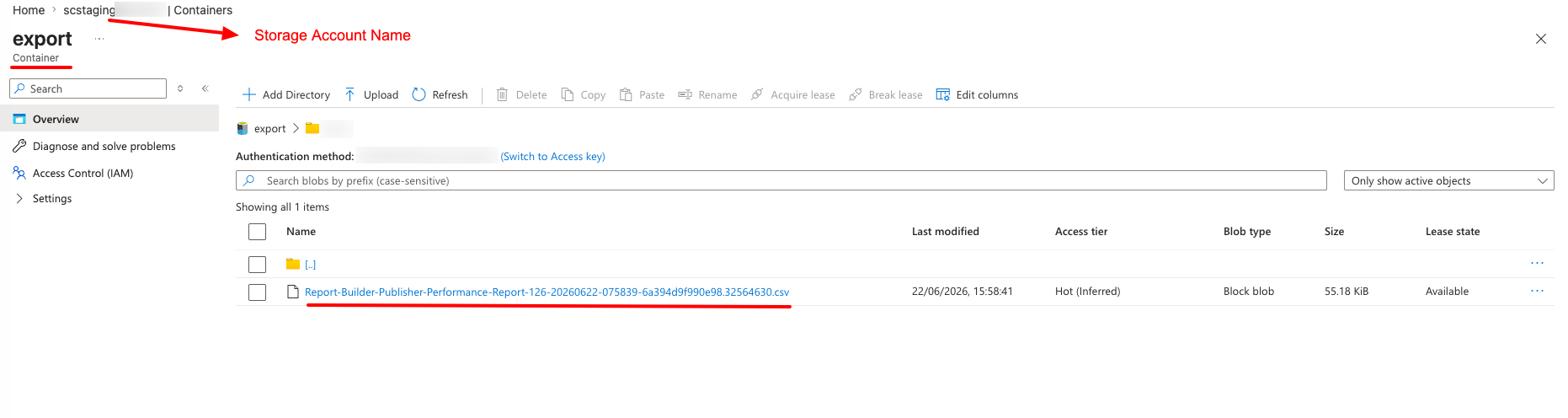 Report delivered to Azure container.png