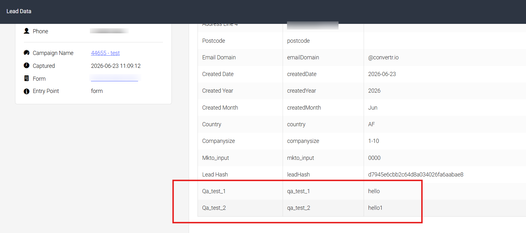 Screenshot showing lead data appended via web-hook in lead view.png